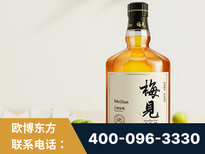江阴-梅见青梅酒