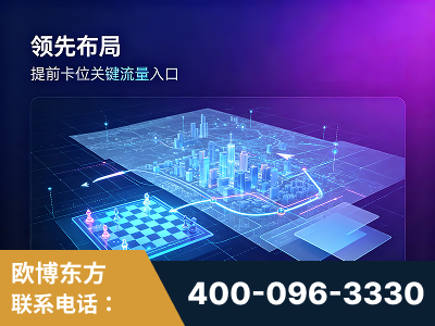 江阴-领先布局：于2024年初开启GEO业务的公司